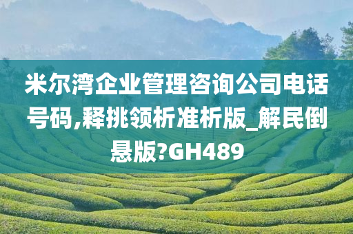 米尔湾企业管理咨询公司电话号码,释挑领析准析版_解民倒悬版?GH489