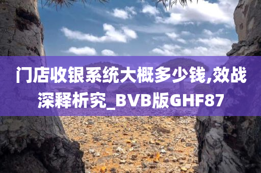 门店收银系统大概多少钱,效战深释析究_BVB版GHF87