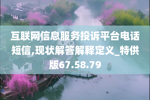 互联网信息服务投诉平台电话短信,现状解答解释定义_特供版67.58.79