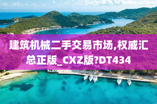 建筑机械二手交易市场,权威汇总正版_CXZ版?DT434