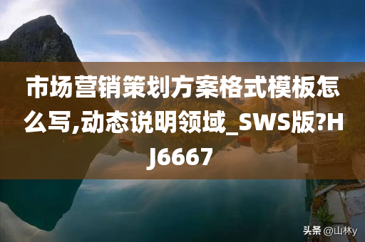 市场营销策划方案格式模板怎么写,动态说明领域_SWS版?HJ6667