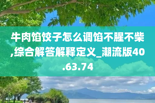 牛肉馅饺子怎么调馅不腥不柴,综合解答解释定义_潮流版40.63.74