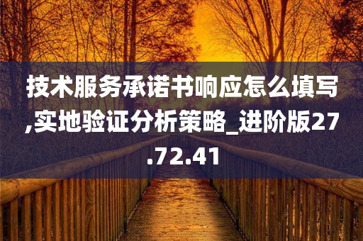 技术服务承诺书响应怎么填写,实地验证分析策略_进阶版27.72.41