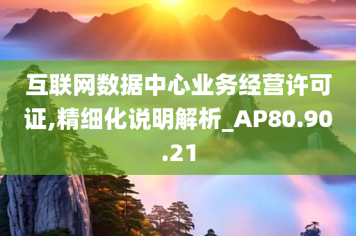 互联网数据中心业务经营许可证,精细化说明解析_AP80.90.21