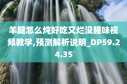 羊腿怎么炖好吃又烂没腥味视频教学,预测解析说明_DP59.24.35