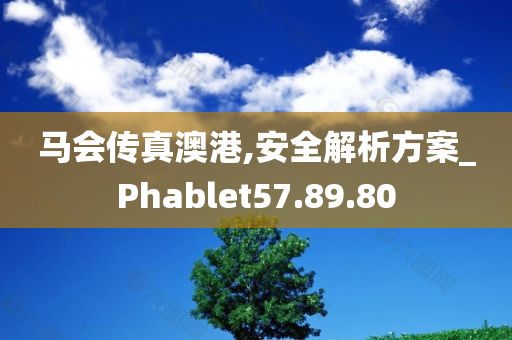 马会传真澳港,安全解析方案_Phablet57.89.80