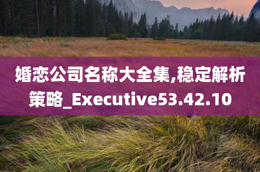 婚恋公司名称大全集,稳定解析策略_Executive53.42.10