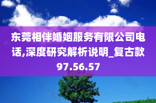 东莞相伴婚姻服务有限公司电话,深度研究解析说明_复古款97.56.57