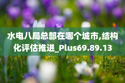 水电八局总部在哪个城市,结构化评估推进_Plus69.89.13