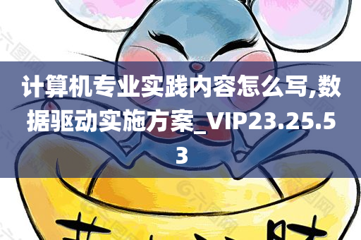 计算机专业实践内容怎么写,数据驱动实施方案_VIP23.25.53