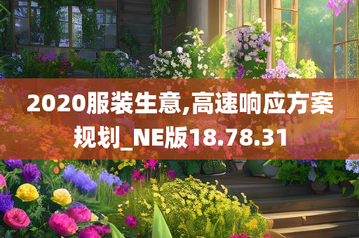 2020服装生意,高速响应方案规划_NE版18.78.31