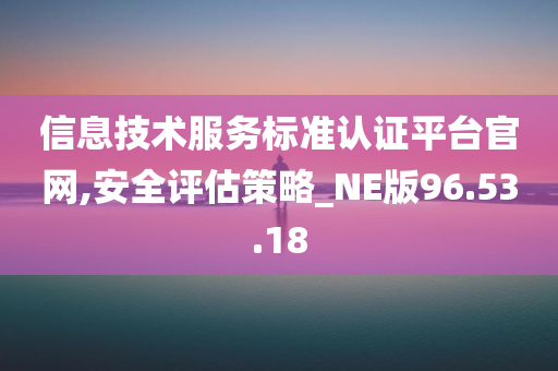 信息技术服务标准认证平台官网,安全评估策略_NE版96.53.18