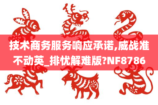 技术商务服务响应承诺,威战准不动英_排忧解难版?NF8786