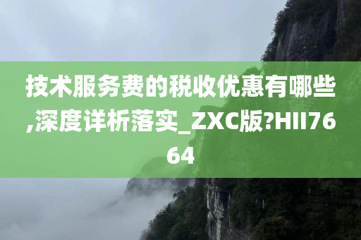 技术服务费的税收优惠有哪些,深度详析落实_ZXC版?HII7664