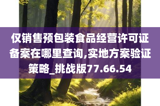 仅销售预包装食品经营许可证备案在哪里查询,实地方案验证策略_挑战版77.66.54