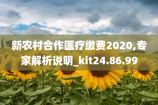 新农村合作医疗缴费2020,专家解析说明_kit24.86.99