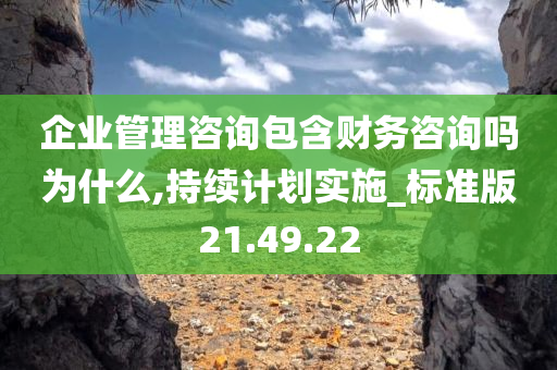 企业管理咨询包含财务咨询吗为什么,持续计划实施_标准版21.49.22