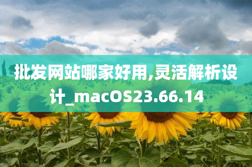 批发网站哪家好用,灵活解析设计_macOS23.66.14