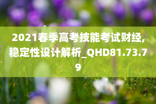 2021春季高考技能考试财经,稳定性设计解析_QHD81.73.79