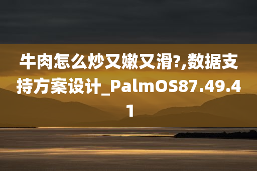 牛肉怎么炒又嫩又滑?,数据支持方案设计_PalmOS87.49.41