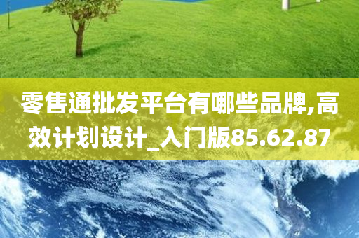 零售通批发平台有哪些品牌,高效计划设计_入门版85.62.87