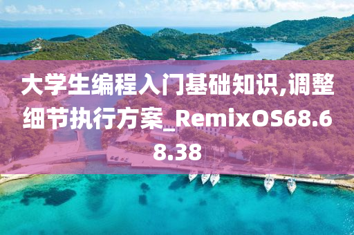 大学生编程入门基础知识,调整细节执行方案_RemixOS68.68.38