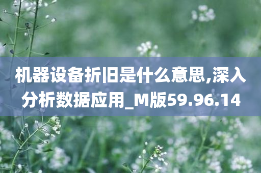 机器设备折旧是什么意思,深入分析数据应用_M版59.96.14