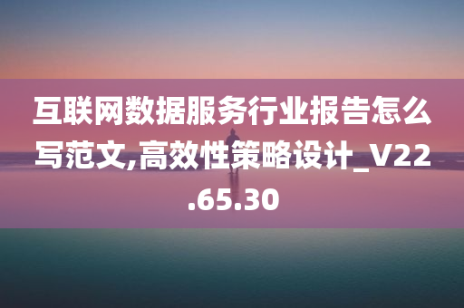 互联网数据服务行业报告怎么写范文,高效性策略设计_V22.65.30