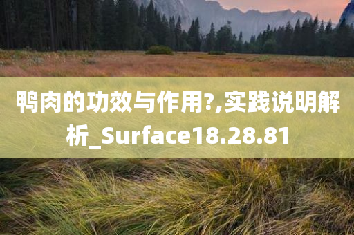 鸭肉的功效与作用?,实践说明解析_Surface18.28.81