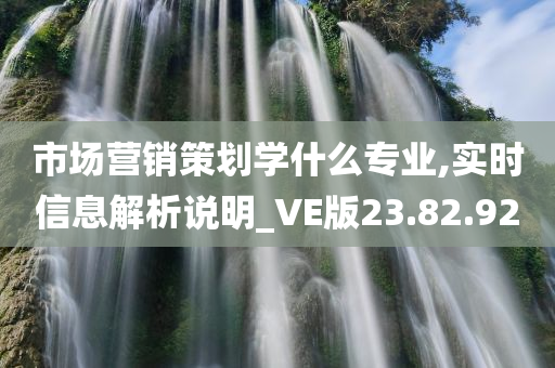 市场营销策划学什么专业,实时信息解析说明_VE版23.82.92