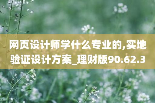 网页设计师学什么专业的,实地验证设计方案_理财版90.62.30