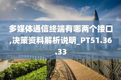 多媒体通信终端有哪两个接口,决策资料解析说明_PT51.36.33