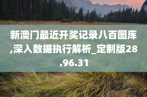 新澳门最近开奖记录八百图库,深入数据执行解析_定制版28.96.31