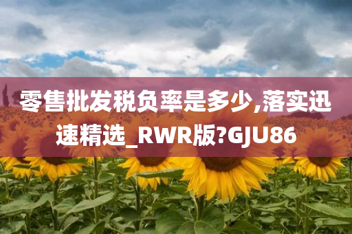 零售批发税负率是多少,落实迅速精选_RWR版?GJU86