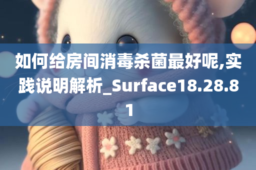 如何给房间消毒杀菌最好呢,实践说明解析_Surface18.28.81