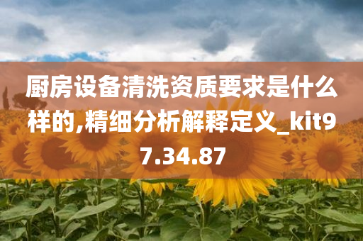 厨房设备清洗资质要求是什么样的,精细分析解释定义_kit97.34.87