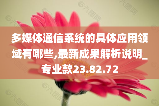 多媒体通信系统的具体应用领域有哪些,最新成果解析说明_专业款23.82.72