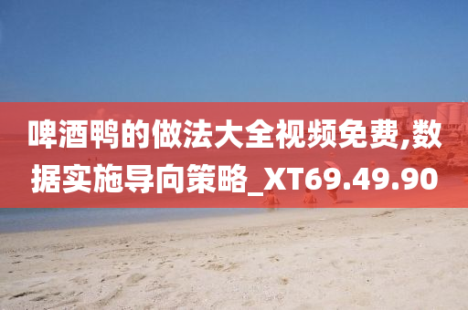 啤酒鸭的做法大全视频免费,数据实施导向策略_XT69.49.90