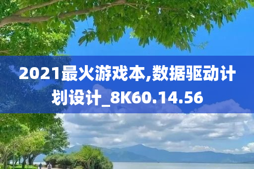 2021最火游戏本,数据驱动计划设计_8K60.14.56