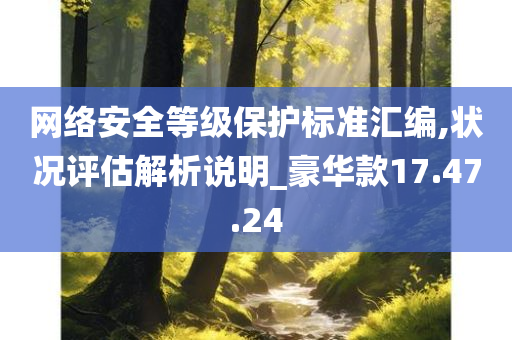 网络安全等级保护标准汇编,状况评估解析说明_豪华款17.47.24