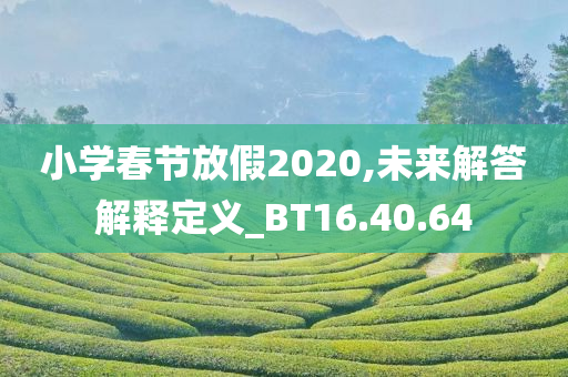 小学春节放假2020,未来解答解释定义_BT16.40.64