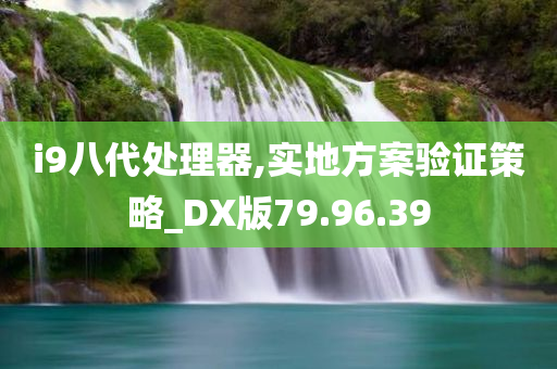 i9八代处理器,实地方案验证策略_DX版79.96.39