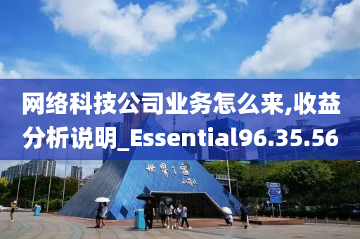 网络科技公司业务怎么来,收益分析说明_Essential96.35.56