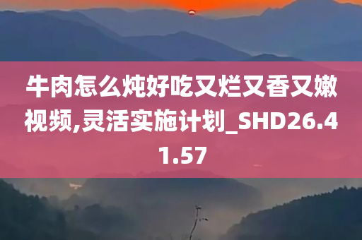 牛肉怎么炖好吃又烂又香又嫩视频,灵活实施计划_SHD26.41.57