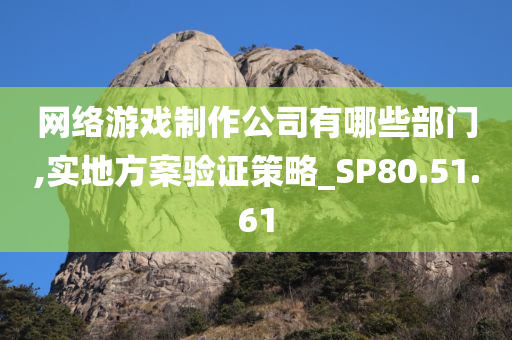 网络游戏制作公司有哪些部门,实地方案验证策略_SP80.51.61