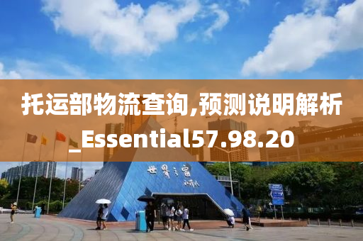 托运部物流查询,预测说明解析_Essential57.98.20