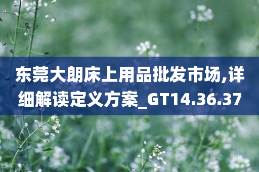 东莞大朗床上用品批发市场,详细解读定义方案_GT14.36.37