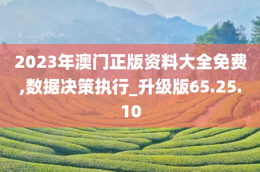 2023年澳门正版资料大全免费,数据决策执行_升级版65.25.10