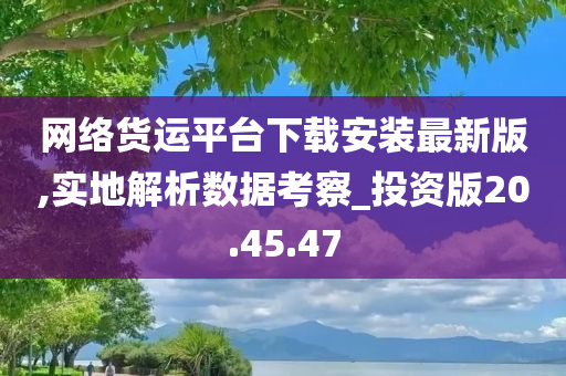 网络货运平台下载安装最新版,实地解析数据考察_投资版20.45.47