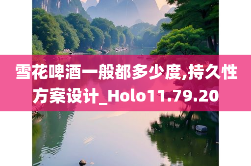 雪花啤酒一般都多少度,持久性方案设计_Holo11.79.20